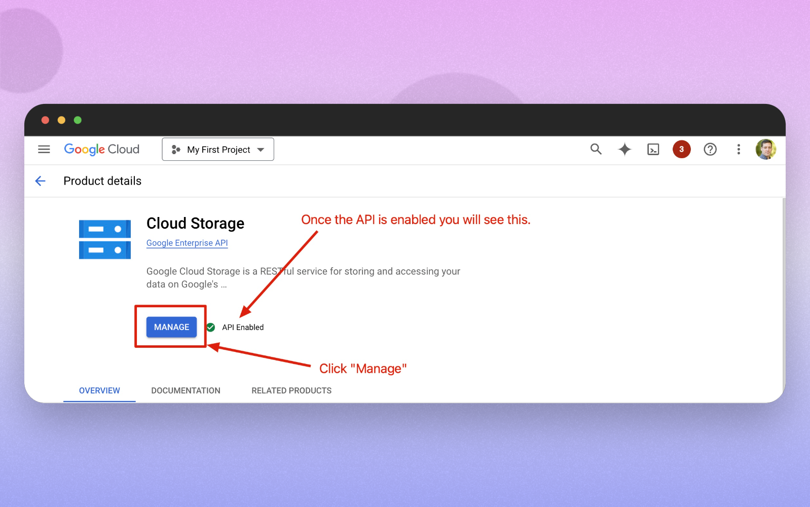 Enable Cloud Storage API