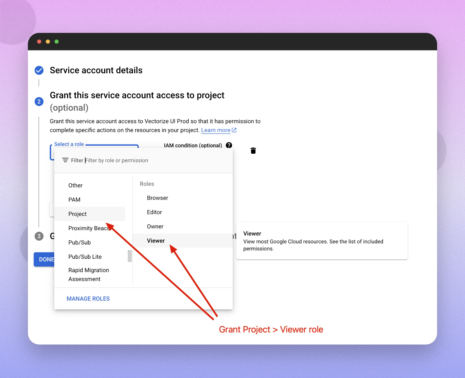 Grant Project Viewer Role