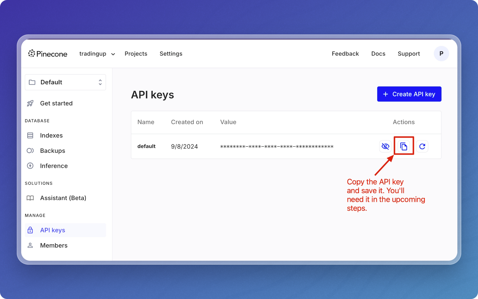 Copy API Key
